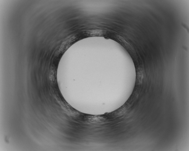 X0000100760379200807171347