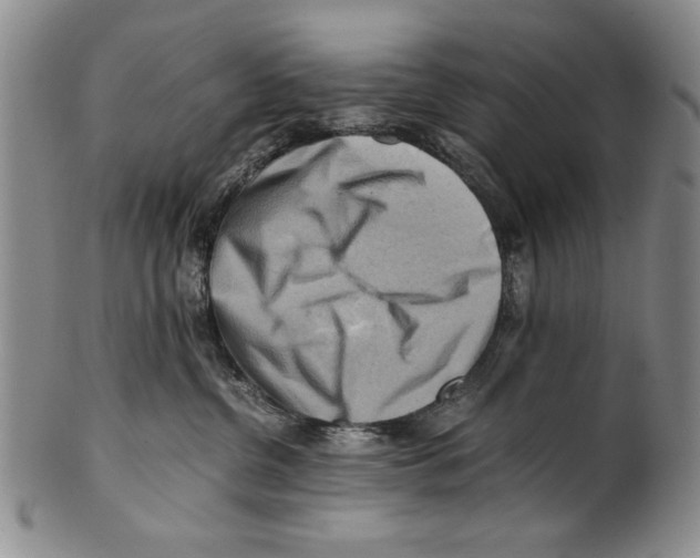 X0000100760380200807171347