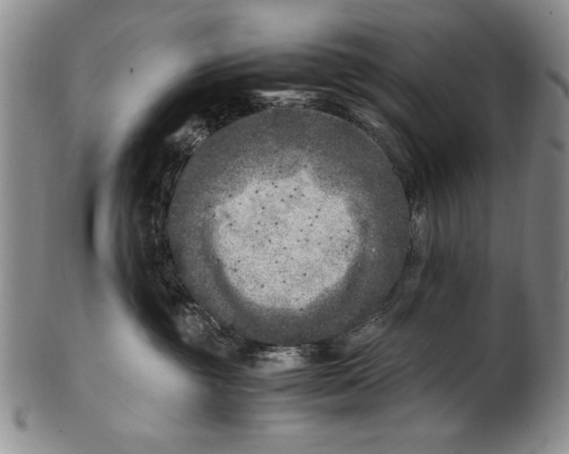 X0000100760381200807171347