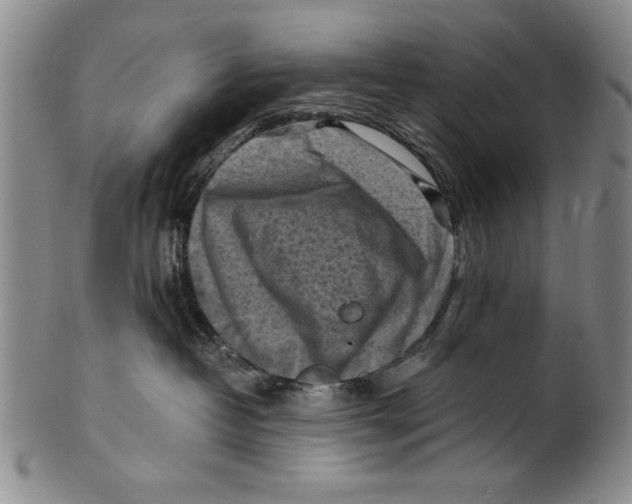 X0000100760382200807171347
