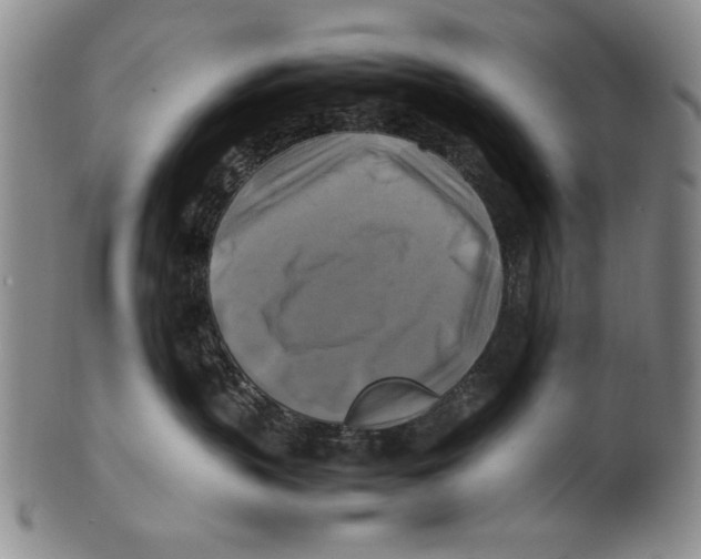 X0000100760383200807171347