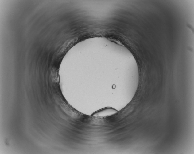 X0000100760384200807171347