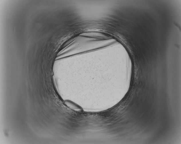X0000100760385200807171347