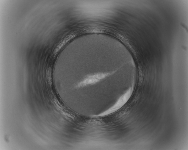 X0000100760386200807171347