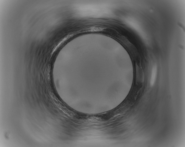 X0000100760387200807171347