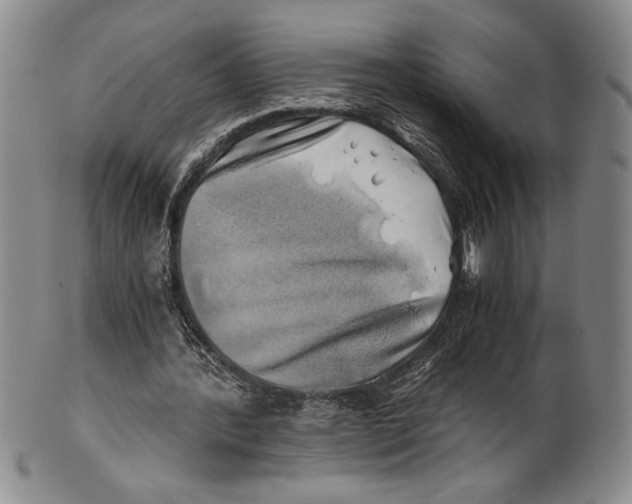 X0000100760388200807171347
