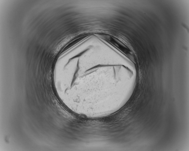 X0000100760389200807171347