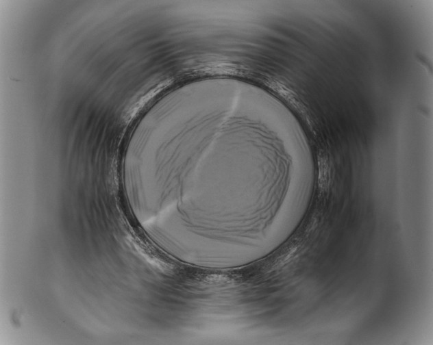 X0000100760390200807171347