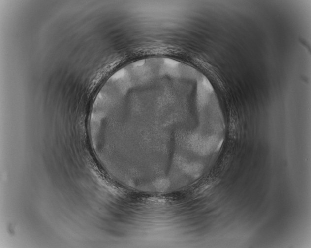 X0000100760394200807171347