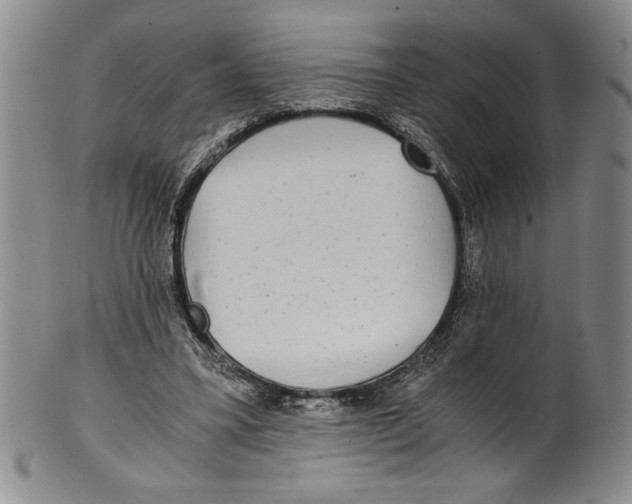 X0000100760395200807171346