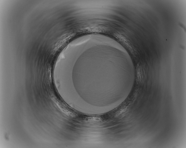 X0000100760398200807171346