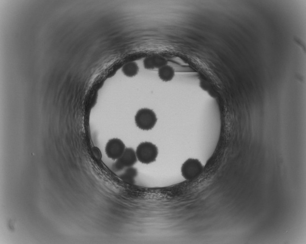 X0000100760399200807171346