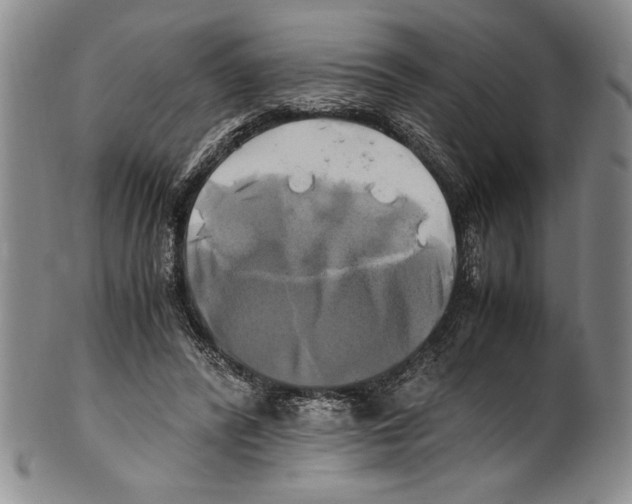 X0000100760400200807171346