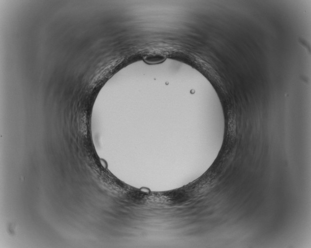 X0000100760403200807171346