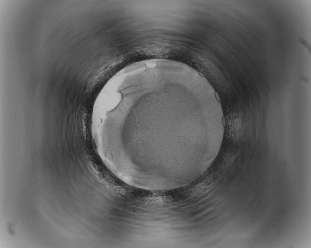 X0000100760404200807171346