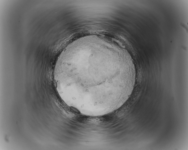 X0000100760405200807171346