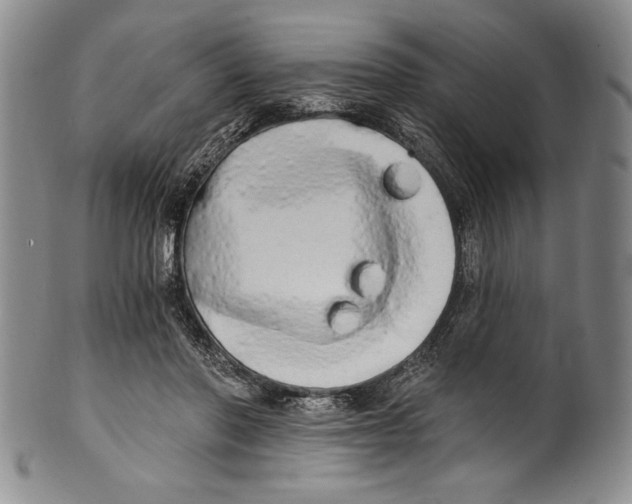 X0000100760406200807171346
