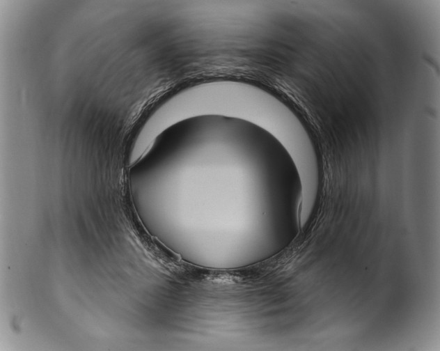 X0000100760407200807171346