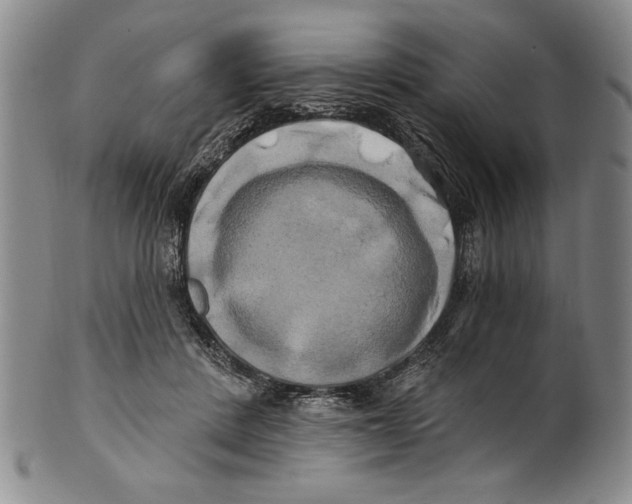 X0000100760408200807171346