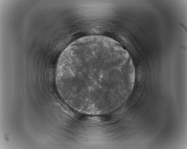 X0000100760409200807171346