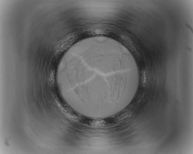 X0000100760410200807171346