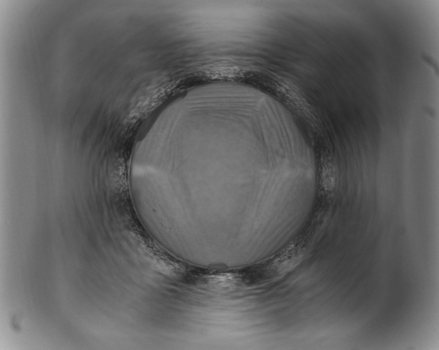 X0000100760411200807171346