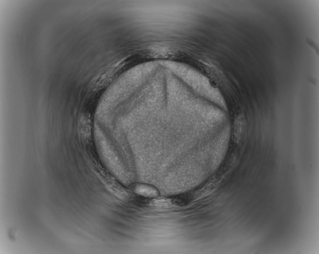 X0000100760413200807171346