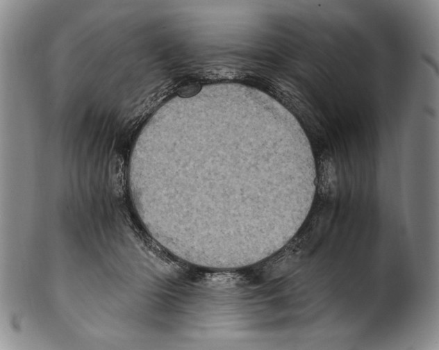 X0000100760414200807171346