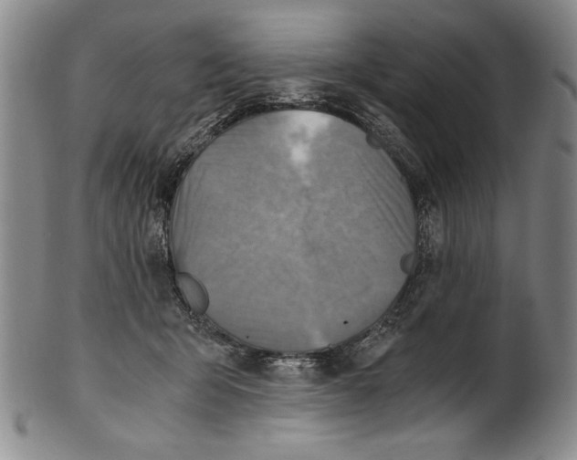 X0000100760415200807171346