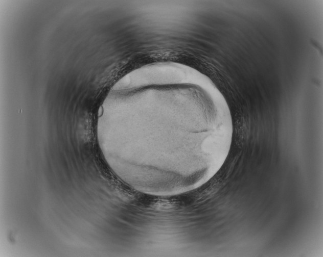 X0000100760416200807171346