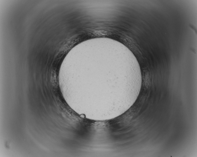 X0000100760418200807171346