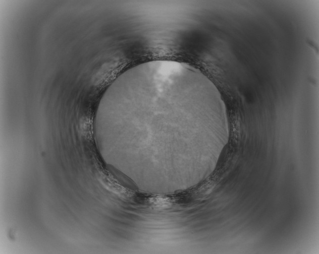 X0000100760419200807171346