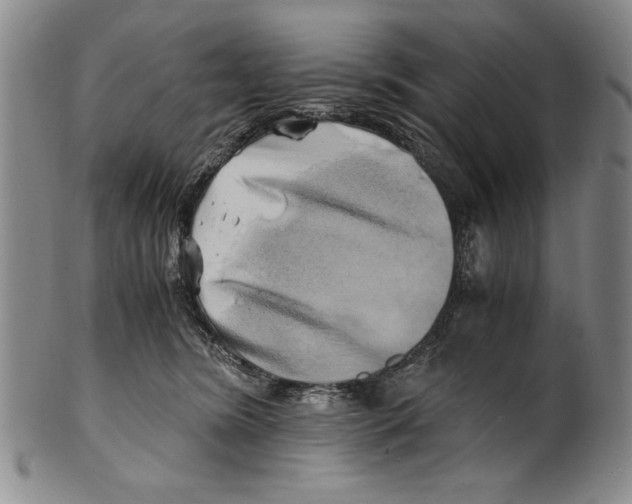 X0000100760420200807171346