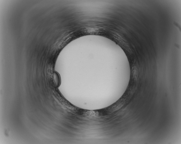 X0000100760421200807171346