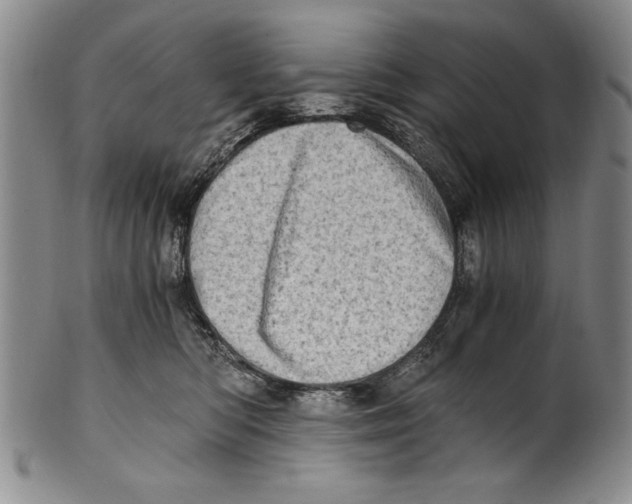 X0000100760422200807171346