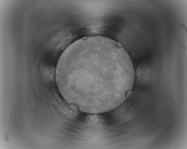 X0000100760423200807171346