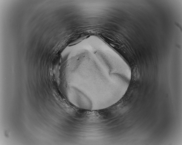 X0000100760424200807171346