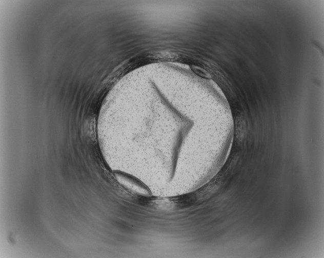 X0000100760425200807171346