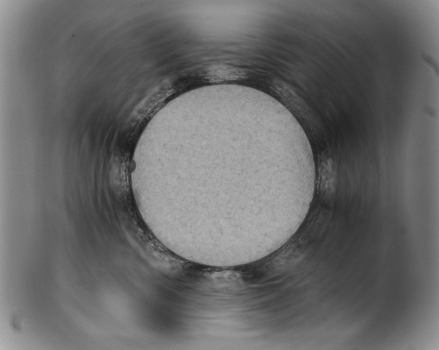 X0000100760426200807171346