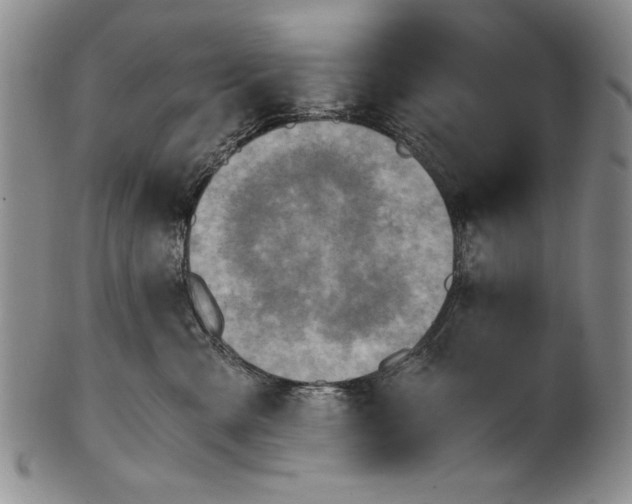 X0000100760427200807171346