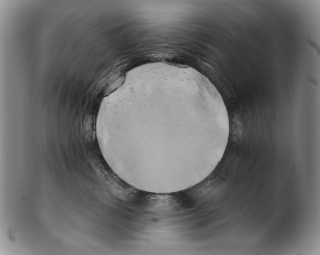 X0000100760428200807171346