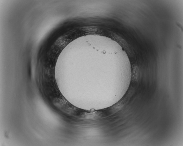 X0000100760430200807171346