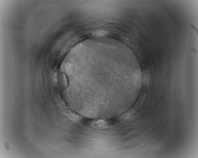 X0000100760431200807171346