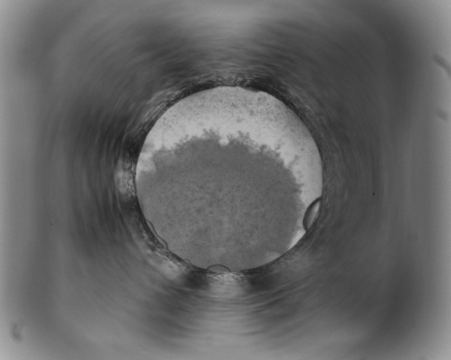 X0000100760432200807171346