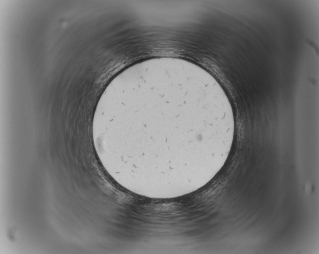 X0000100760433200807171345