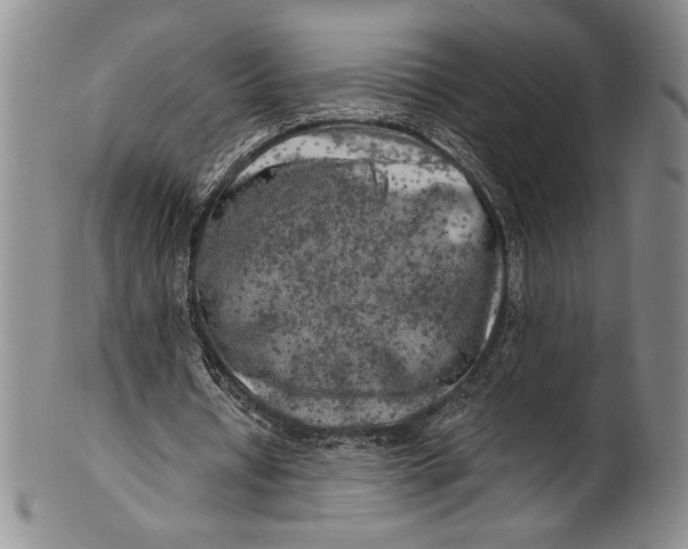 X0000100760434200807171345
