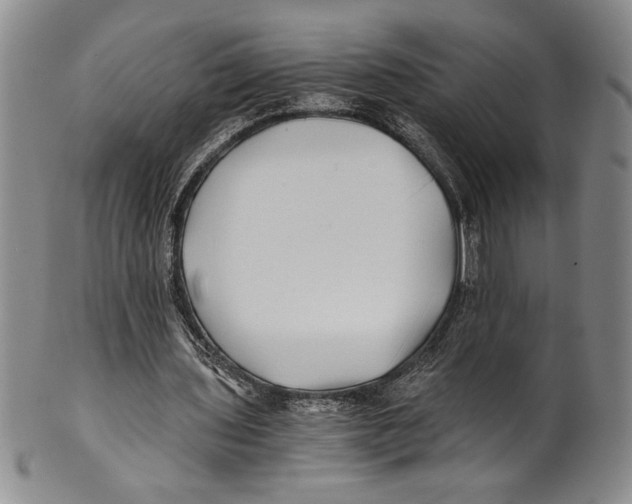X0000100760435200807171345