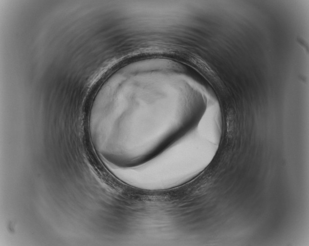 X0000100760436200807171345