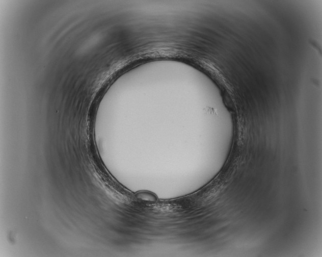 X0000100760439200807171345