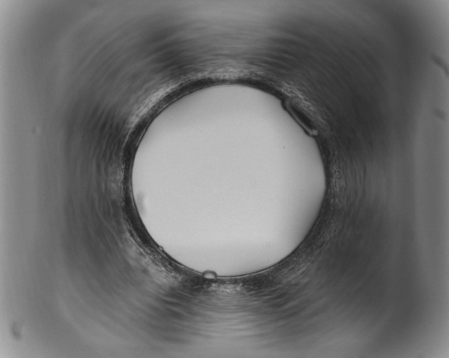 X0000100760440200807171345